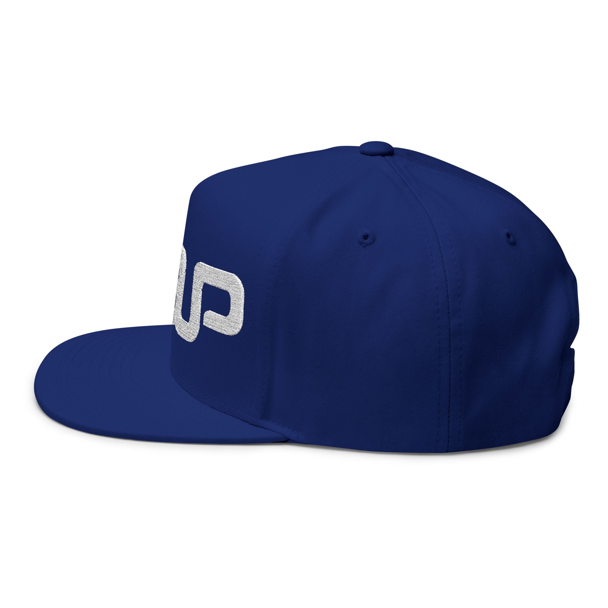 Embroidered OneUp Flat Cap